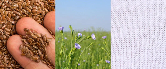 De la floare la fir: cum se naște un tricot din in